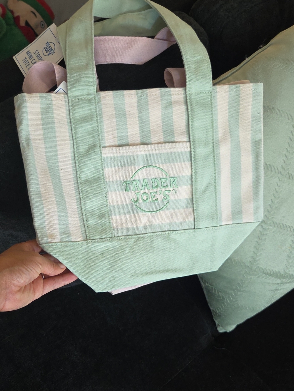 Trader Joe's Mint Striped Canvas Tote